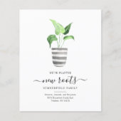 バジェットボホニュールーツ引っ越しました植物移動 (正面)