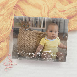 バジェットマイクリスマスキャットクリスマスホリデー写真