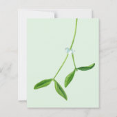 バジェットミストレ結婚トークリスマス夕べパーティー (裏面)