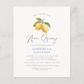 バジェットメインスクイズレモンウォーターカラーブライダルシャワー (正面)