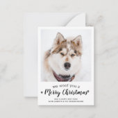 バジェットメリークリスマスドッグモダンペットの写真 ノートカード (正面)