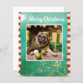 バジェットメリークリスマスペットの写真 (正面/裏面)