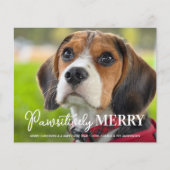 バジェットメリーパサイカスタムティPet Dogフォトカード (正面)