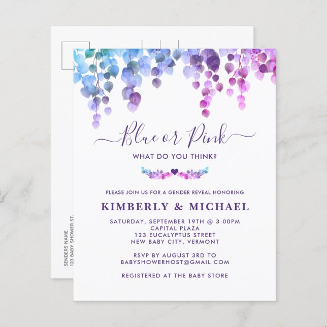 バジェットユーカリベビージェンダーリビールピンクブルー (正面/裏面)