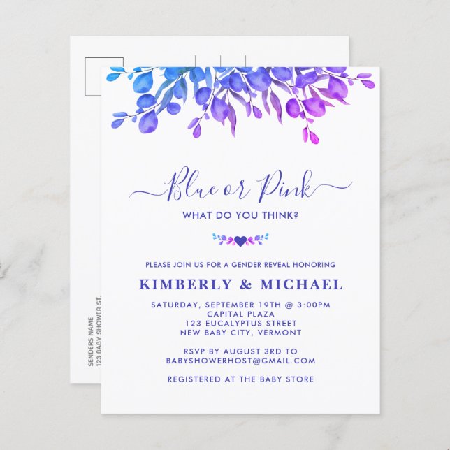 バジェットユーカリベビージェンダーリビールブルーピンク (正面/裏面)