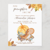 バジェットリトルカボチャ恐竜秋の赤ちゃんシャワー (正面)