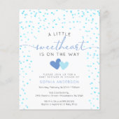 バジェットリトルスウィートベビーシャワー招待状フライヤー チラシ (正面)
