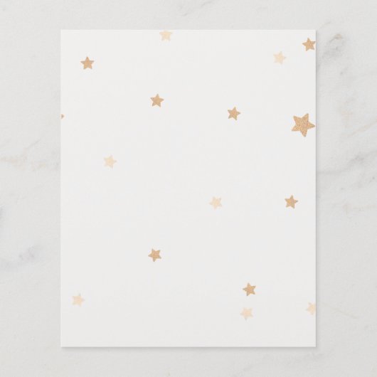 バジェットレインボースターズバースデーパーティーの招待 チラシ (裏面)