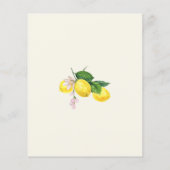 バジェットレモンシトラスサマーベビーシャワー招待状 (裏面)