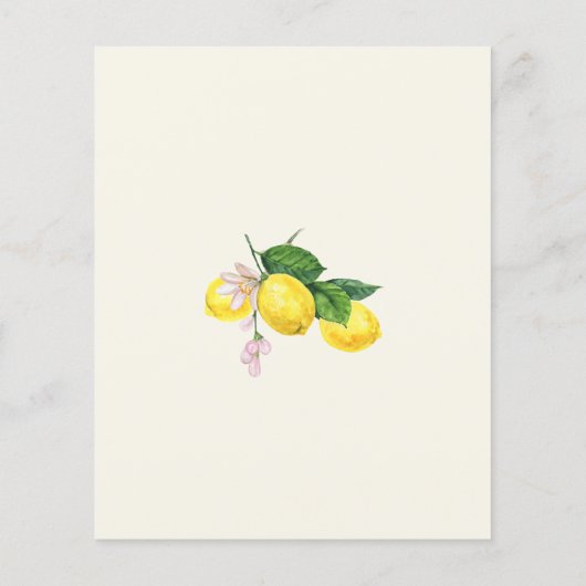 バジェットレモンシトラスサマー結婚式招待状 (裏面)