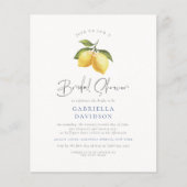 バジェットレモン&タイル地中海のブライダルシャワー (正面)