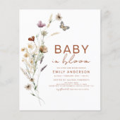 バジェットワイルドフラワーベビーイン開花シャワーテラコッタ (正面)