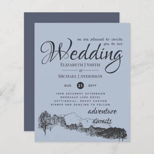 バジェット価格ダスティブルーマウンテンズバジェットフライヤー (正面/裏面)