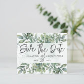 バジェット保存日付の水の色ユーカリ (スタンド正面)