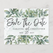 バジェット保存日付の水の色ユーカリ (正面)