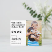 バジェット写真子犬の新しいペットの発表 (スタンド正面)