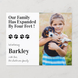 バジェット写真子犬の新しいペットの発表