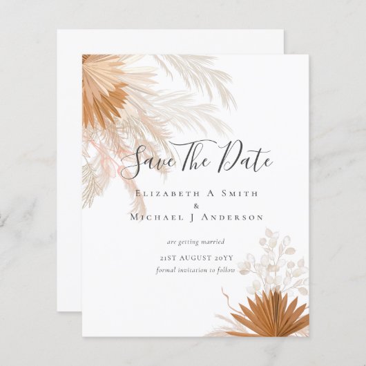 バジェット写真救日付PAMPAS Grass Terracotta (正面/裏面)