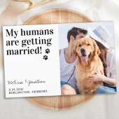 バジェット写真結婚のペット犬は日付カードを保存