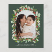 バジェット冬の庭の緑のクリスマス1の写真 (正面)