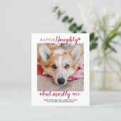 バジェット小さな犬のいけなペットの写真のホリデーカード (スタンド正面)