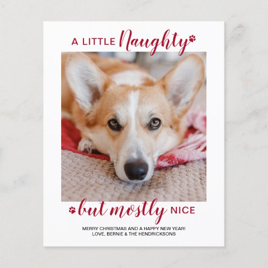 バジェット小さな犬のいけなペットの写真のホリデーカード (正面)