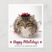 バジェット幸せPAWlidays猫ペットフォトクリスマス (正面)