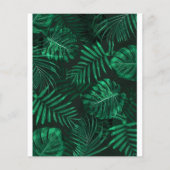 バジェット恐竜子供の誕生日ジュラシック招待状 (裏面)