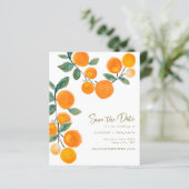 バジェット水の色オレンジ色のフルーツ日付を保存 (スタンド正面)