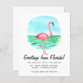 バジェット熱帯性フラミンゴが新しいアドレス移動 (正面/裏面)