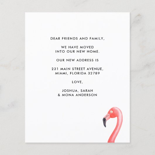 バジェット熱帯性フラミンゴが新しいアドレス移動 (裏面)