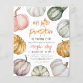 バジェット私たちの小さなカボチャかわいいボホ誕生日パーティー (正面)