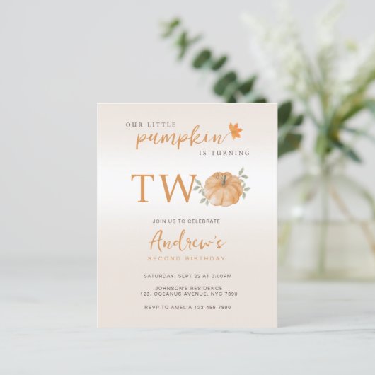 バジェット私たちの小さなカボチャ秋第2の2番目の誕生日 (スタンド正面)