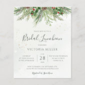 バジェット素朴ウィンターグリーナリーブライダル昼食会 (正面)