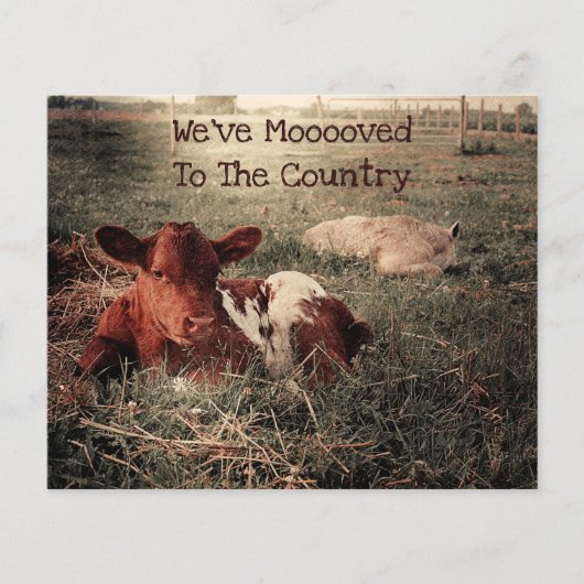 バジェット素朴カウカントリーおもしろいファーム移動カード (正面)