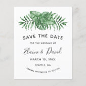 バジェット素朴トロピカルグリーン (正面)