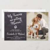 バジェット素朴ドッグ結婚が日付カードを保存する (正面/裏面)