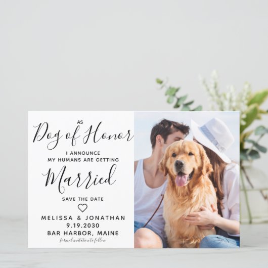 バジェット結婚の写真犬が日付カードを保存 (スタンド正面)