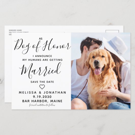 バジェット結婚の写真犬が日付カードを保存 (正面/裏面)