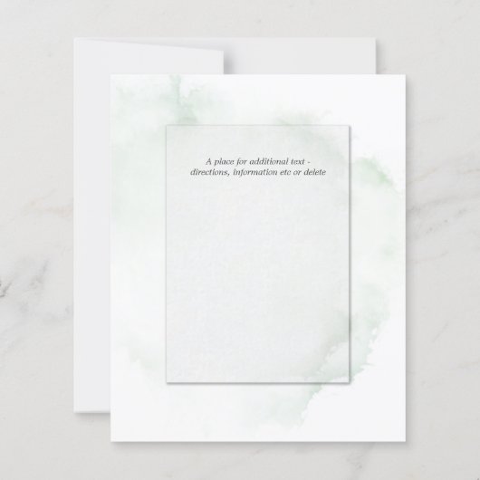 バジェット結婚ズ淡い色のグリーンウォーター洗剤 (裏面)