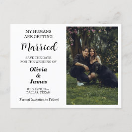 バジェット結婚ドッグの写真Save the Date Card ポストカード