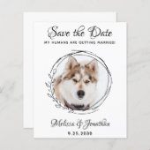 バジェット結婚ペットの葉の犬は日付カードを保存 (正面/裏面)