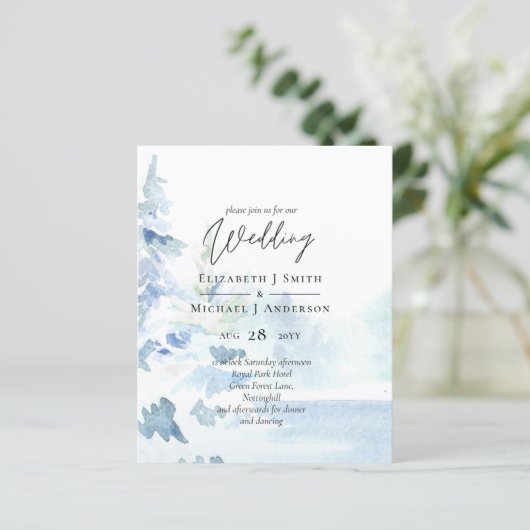 バジェット雪山冬湖の木 (スタンド正面)