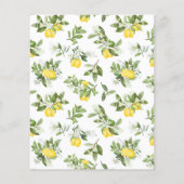 バジェット50th誕生日レモンシトラス招待状 チラシ (裏面)