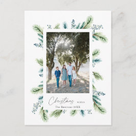 バジェット・クリスマスはボホ・スプルースとモミを願う ポストカード