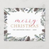 バジェット・メリークリスマスほこりっぽい青い緑 (正面)