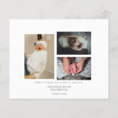 バジェットB&Wブルームルフォト誕生アナウンスフライヤー チラシ (裏面)