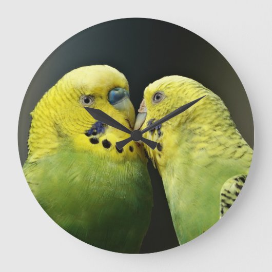 バジキスをするーのオウム ラージ壁時計 (正面)