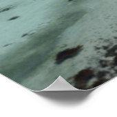 バジャコンセプションベイ ポスター (角)