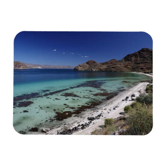 バジャコンセプションベイ マグネット (横)